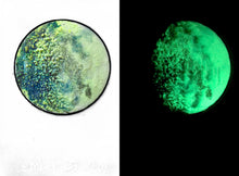 Load image into Gallery viewer, The Many Moons Project . December 25th, 2020