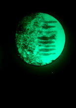 Load image into Gallery viewer, The Many Moons Project . December 27th, 2020