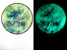 Load image into Gallery viewer, The Many Moons Project . December 29th, 2020