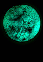 Load image into Gallery viewer, The Many Moons Project . December 29th, 2020