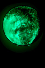 Load image into Gallery viewer, The Many Moons Project . December 2nd, 2020