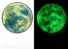 Load image into Gallery viewer, The Many Moons Project . December 31st, 2020