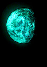 Load image into Gallery viewer, The Many Moons Project . December 3rd, 2020
