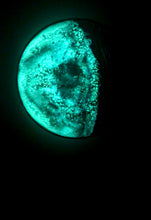 Load image into Gallery viewer, The Many Moons Project . December 5th, 2020