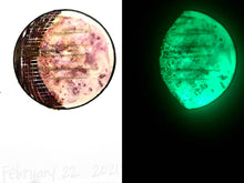 Load image into Gallery viewer, The Many Moons Project . February 22nd, 2021
