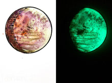 Load image into Gallery viewer, The Many Moons Project . February 23rd, 2021