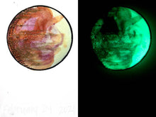 Load image into Gallery viewer, The Many Moons Project . February 24th, 2021