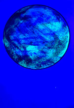 Load image into Gallery viewer, The Many Moons Project . February 27th, 2021