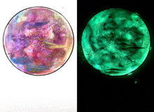 Load image into Gallery viewer, The Many Moons Project . February 28th, 2021