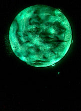 Load image into Gallery viewer, The Many Moons Project . February 28th, 2021