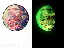Load image into Gallery viewer, The Many Moons Project . February 2nd, 2021
