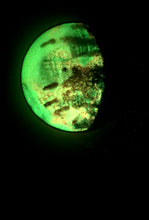 Load image into Gallery viewer, The Many Moons Project . February 2nd, 2021