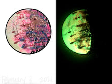 Load image into Gallery viewer, The Many Moons Project . February 3rd, 2021