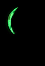 Load image into Gallery viewer, The Many Moons Project . February 7th, 2021