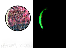 Load image into Gallery viewer, The Many Moons Project . February 8th, 2021