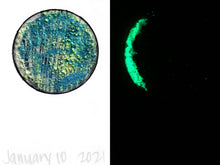 Load image into Gallery viewer, The Many Moons Project . January 10th, 2021