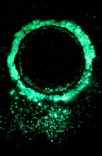 Load image into Gallery viewer, The Many Moons Project . January 11th, 2021