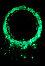 Load image into Gallery viewer, The Many Moons Project . January 12th, 2021