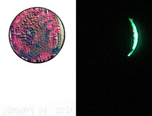 Load image into Gallery viewer, The Many Moons Project . January 14th, 2021