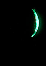 Load image into Gallery viewer, The Many Moons Project . January 14th, 2021