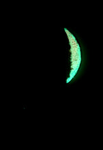 Load image into Gallery viewer, The Many Moons Project . January 16th, 2021