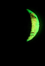 Load image into Gallery viewer, The Many Moons Project . January 18th, 2021