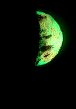 Load image into Gallery viewer, The Many Moons Project . January 19th, 2021