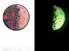 Load image into Gallery viewer, The Many Moons Project . January 20th, 2021