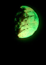 Load image into Gallery viewer, The Many Moons Project . January 22nd, 2021