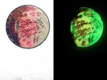 Load image into Gallery viewer, The Many Moons Project . January 23rd, 2021