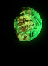 Load image into Gallery viewer, The Many Moons Project . January 23rd, 2021