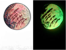 Load image into Gallery viewer, The Many Moons Project . January 25th, 2021