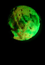 Load image into Gallery viewer, The Many Moons Project . January 26th, 2021