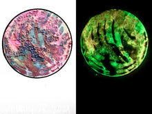 Load image into Gallery viewer, The Many Moons Project . January 28th, 2021