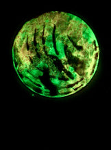 Load image into Gallery viewer, The Many Moons Project . January 28th, 2021