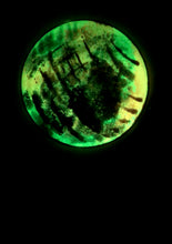 Load image into Gallery viewer, The Many Moons Project . January 29th, 2021