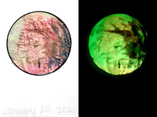 Load image into Gallery viewer, The Many Moons Project . January 30th, 2021