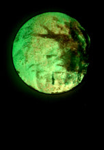 Load image into Gallery viewer, The Many Moons Project . January 30th, 2021