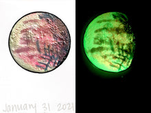 Load image into Gallery viewer, The Many Moons Project . January 31st, 2021