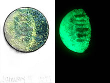 Load image into Gallery viewer, The Many Moons Project . January 4th, 2021