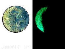 Load image into Gallery viewer, The Many Moons Project . January 8th, 2021