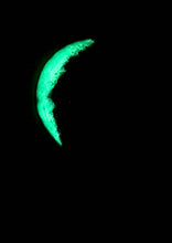 Load image into Gallery viewer, The Many Moons Project . January 9th, 2021