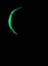 Load image into Gallery viewer, The Many Moons Project . March 10th, 2021