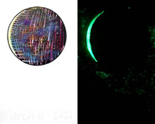 Load image into Gallery viewer, The Many Moons Project . March 11th, 2021