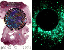 Load image into Gallery viewer, The Many Moons Project . March 12th, 2021