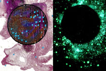 Load image into Gallery viewer, The Many Moons Project . March 13th, 2021