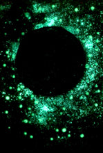 Load image into Gallery viewer, The Many Moons Project . March 13th, 2021