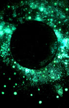 Load image into Gallery viewer, The Many Moons Project . March 14th, 2021