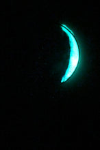 Load image into Gallery viewer, The Many Moons Project . March 16th, 2021