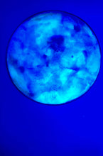 Load image into Gallery viewer, The Many Moons Project . March 28th, 2021